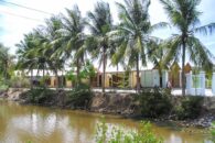 BambooSchool-12 BambooSchool-12