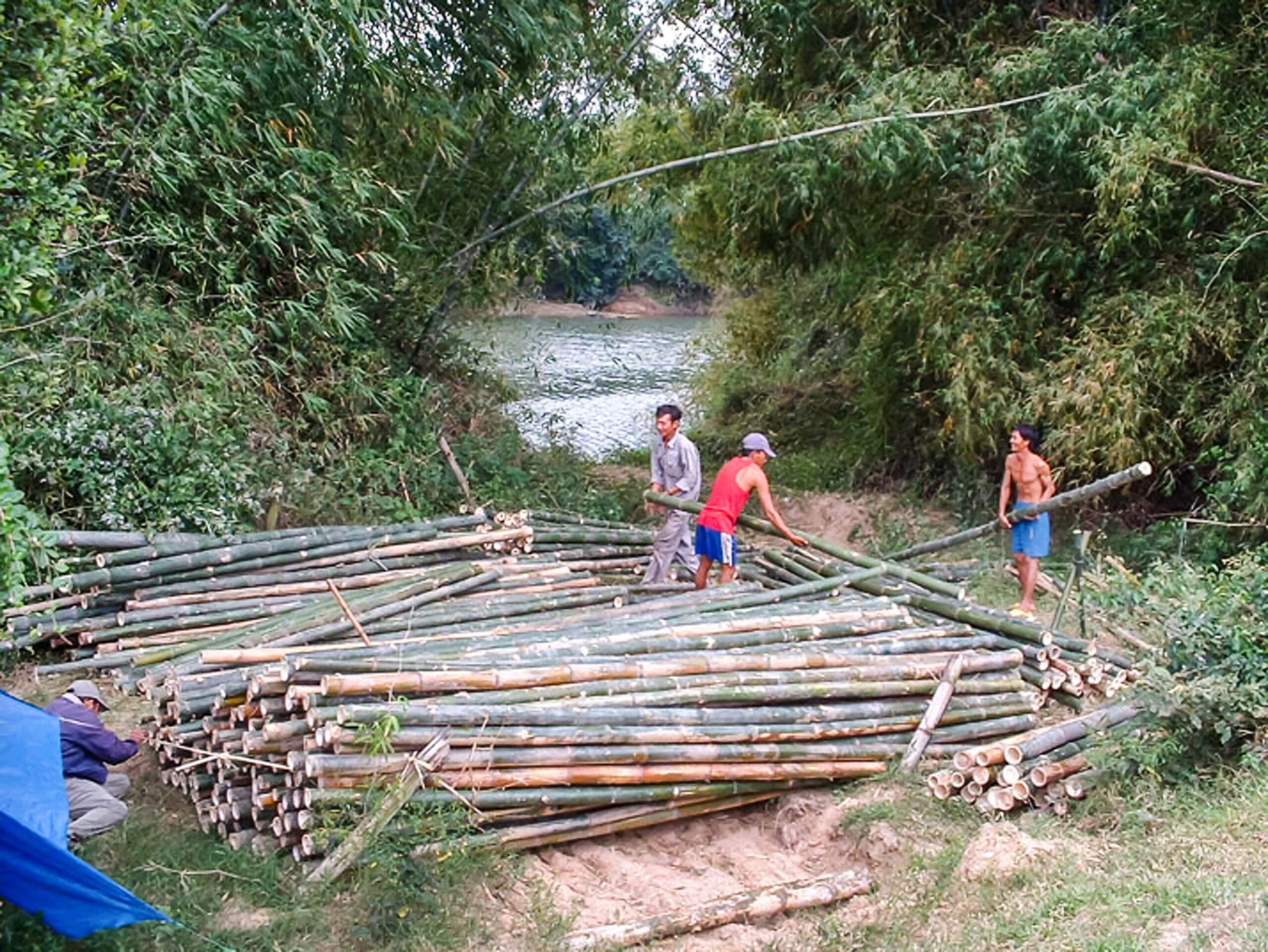 Bambou coupé dans la forêt voisine : local, très bon marché, facilement réparable