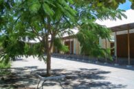 BambooSchool-8 BambooSchool-8