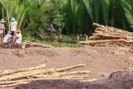 ÉpodLowCost-12 ÉpodLowCost-12