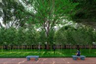 JardinBambou-10 JardinBambou-10