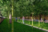 JardinBambou-11 JardinBambou-11