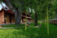 JardinBambou-12 JardinBambou-12