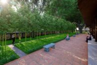 JardinBambou-3