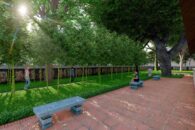 JardinBambou-6 JardinBambou-6