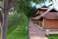 JardinBambou-7 JardinBambou-7