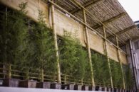 L'EspaceCafe-9 L'EspaceCafe-9