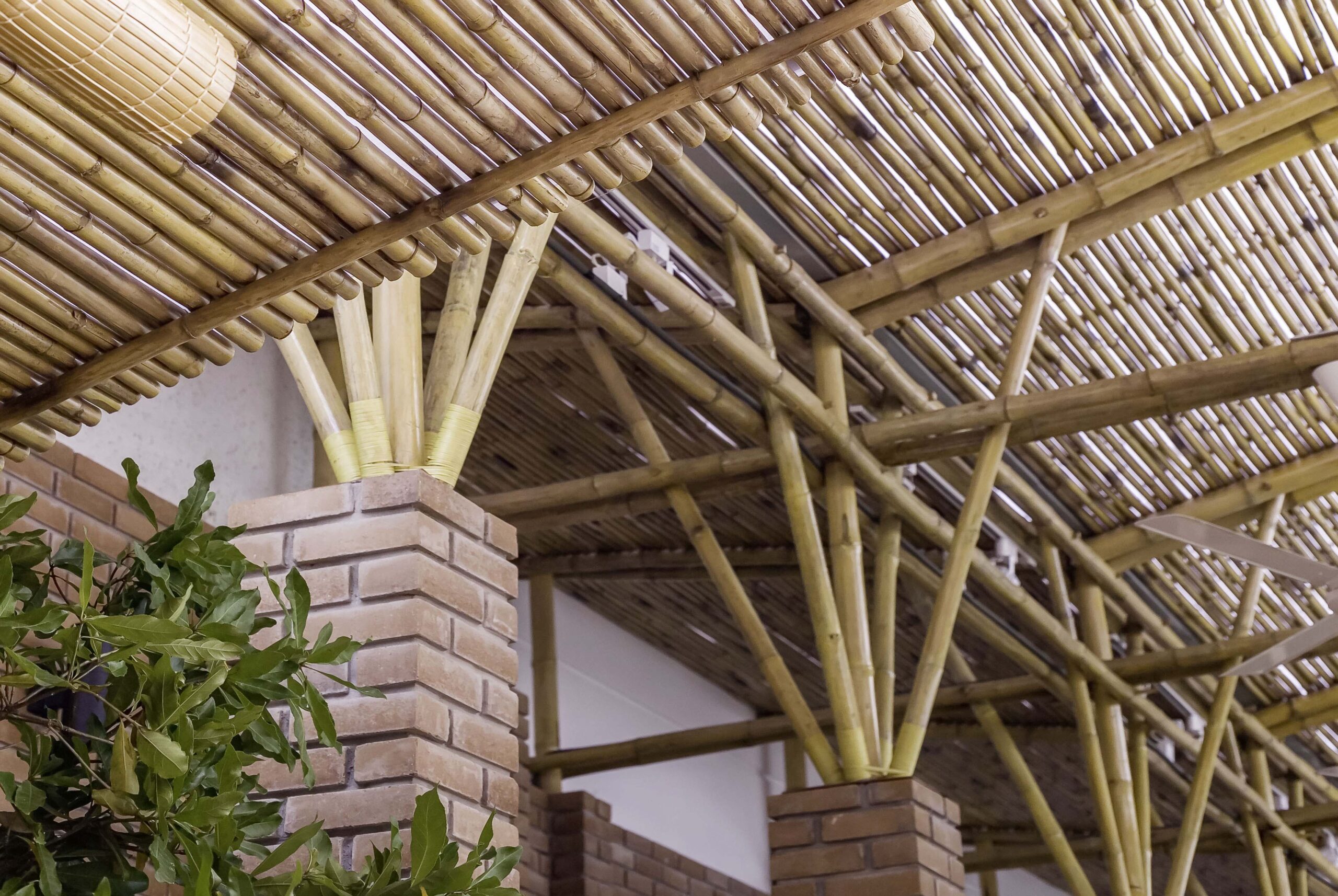 Vignette-bas carbone