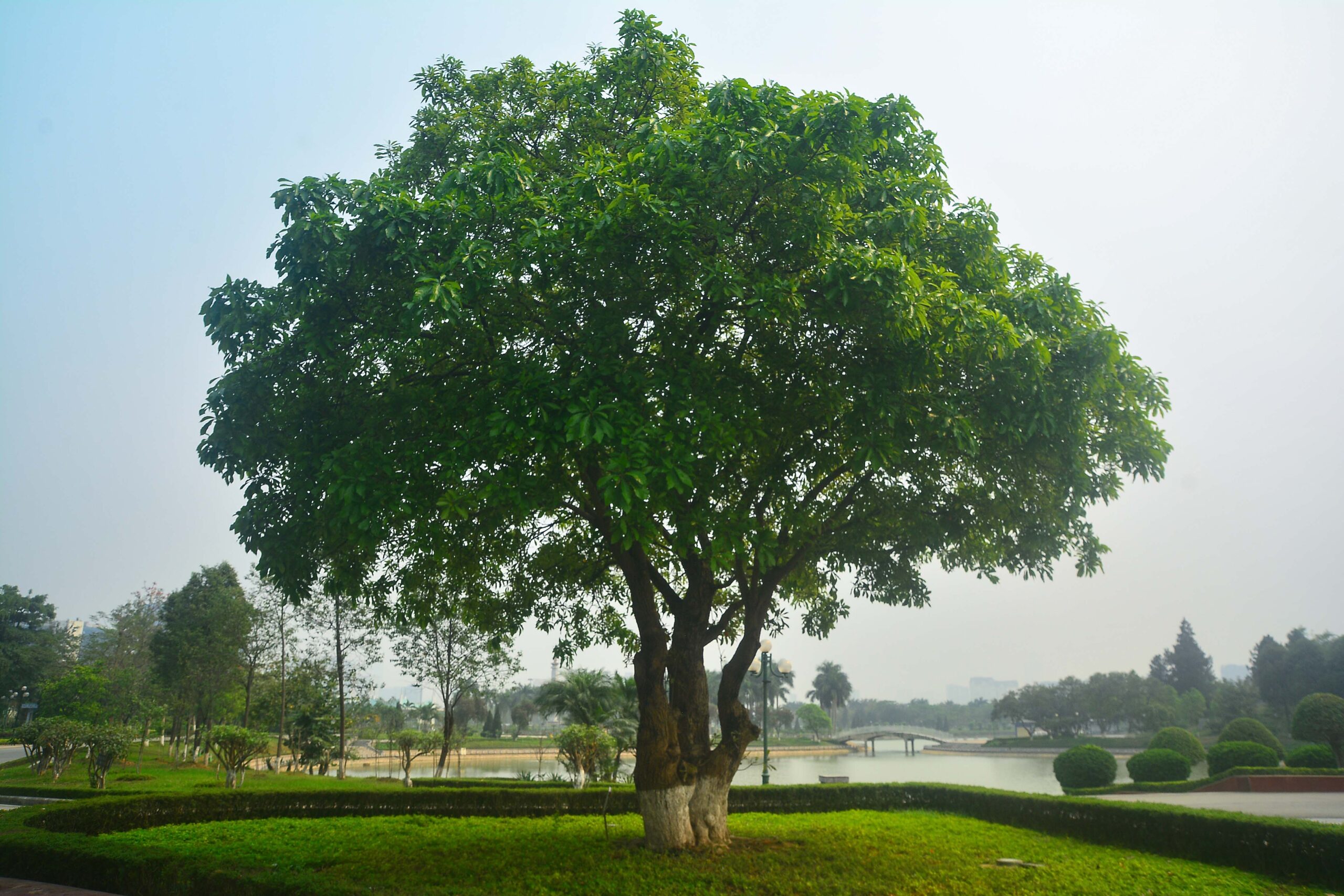 Vignette-jardin planetaire