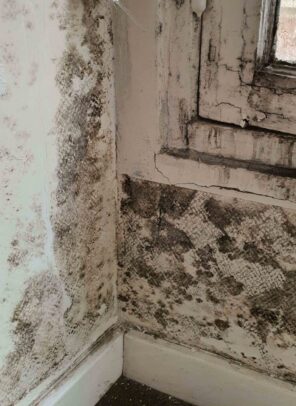 20240921_171212 copy