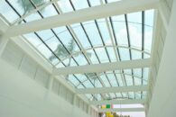 BigC-lumi natu-12 BigC-lumi natu-12