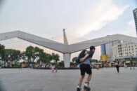 BirdGate-10 BirdGate-10