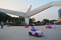 BirdGate-11 BirdGate-11